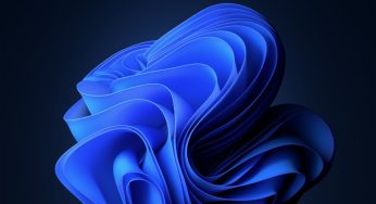 Mayıs Ayı Windows Karnesi: Windows 11 Geriledi, Windows 10 Yeniden Yükselişte